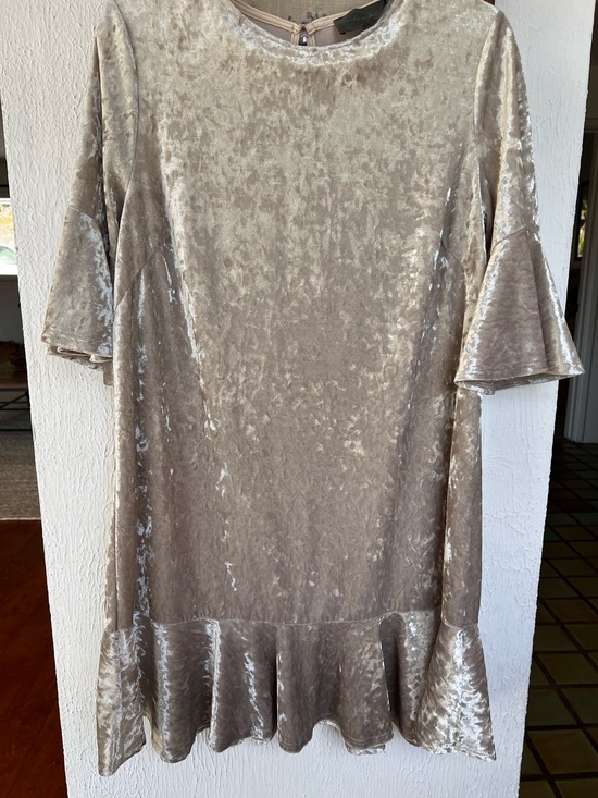 Anthropologie Dresses & Skirts - Anthropologie Sunday in Brooklyn Velvet Dress